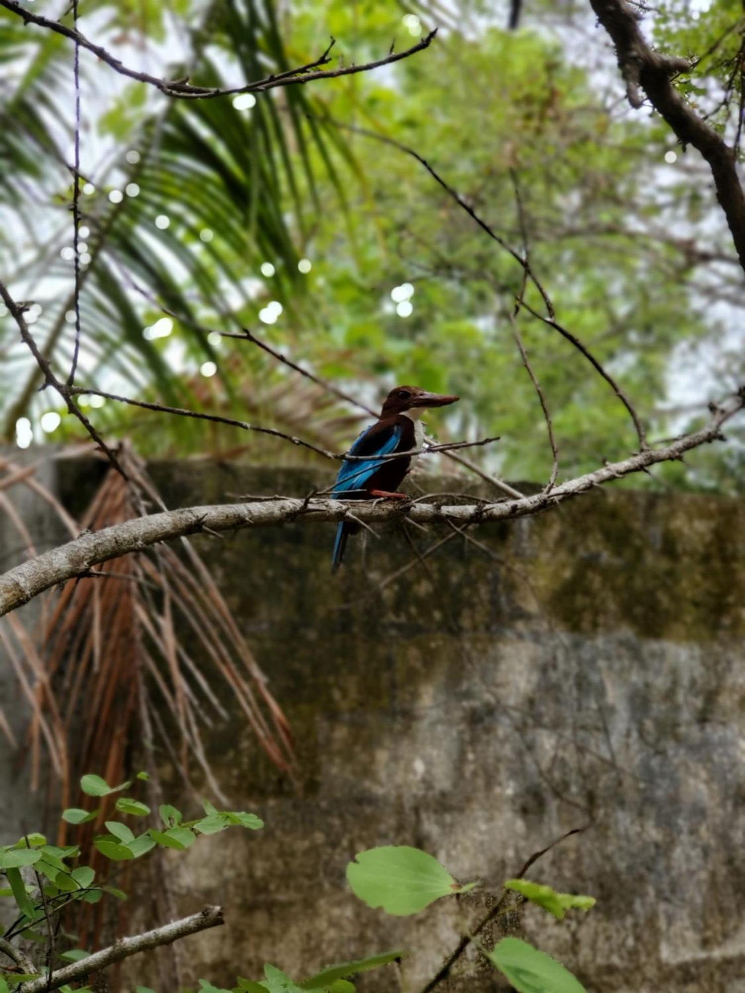 Clay Hut Village Polonnaruwa Luaran gambar