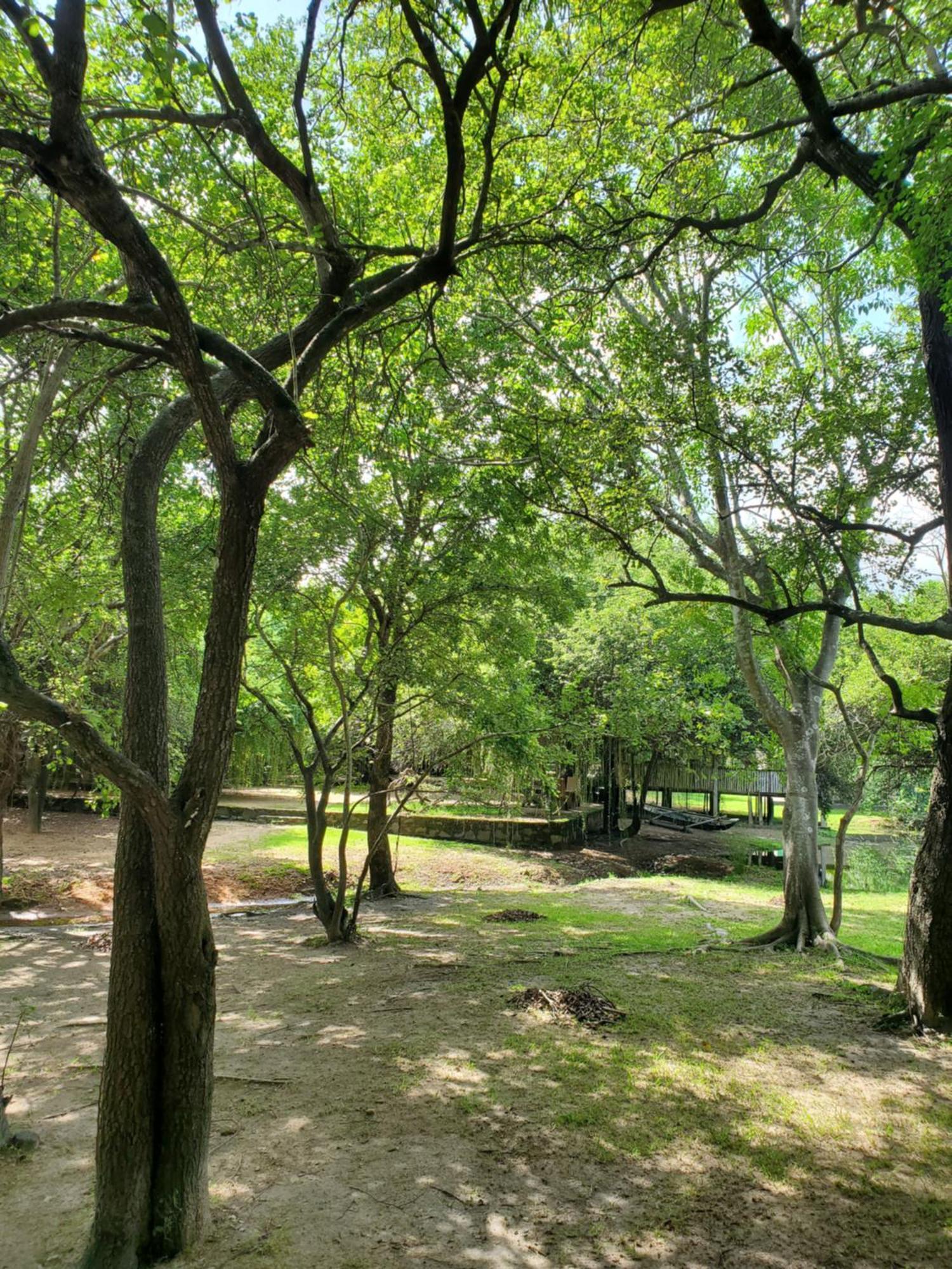 Clay Hut Village Polonnaruwa Luaran gambar