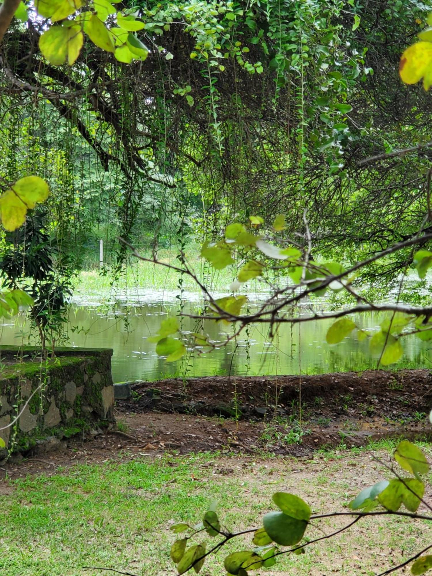 Clay Hut Village Polonnaruwa Luaran gambar
