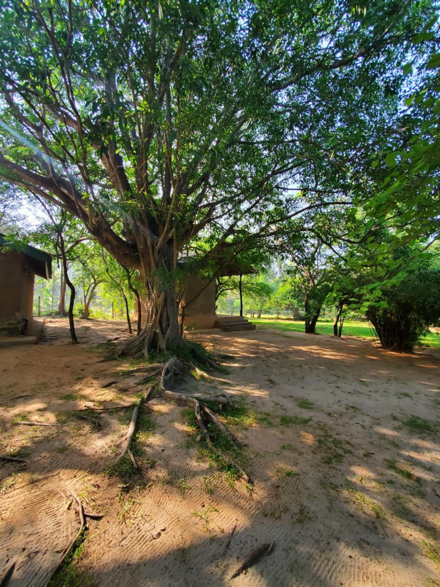 Clay Hut Village Polonnaruwa Luaran gambar